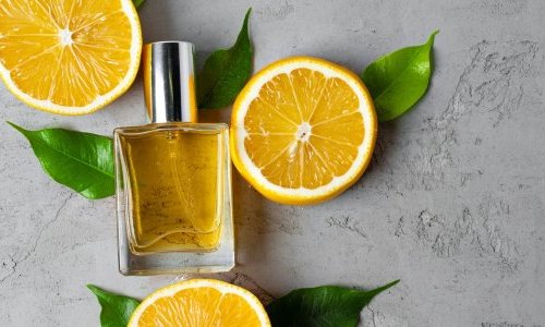 Classification of perfume ingredients: the Scentree website redesigned
