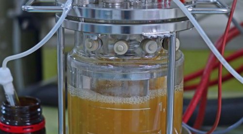 Seppic opens a new lab for fermentation biotechnologies in the USA