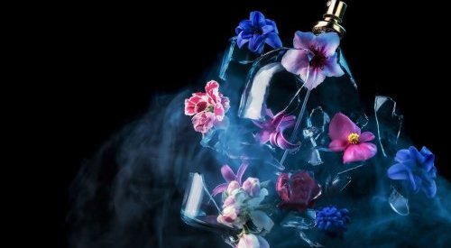 Fragrance Innovation - January 2025