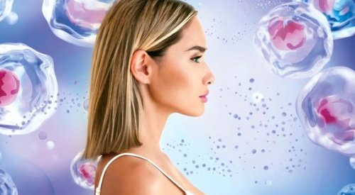 PhytoCellTec Exosomes: Mibelle's new generation of anti-aging