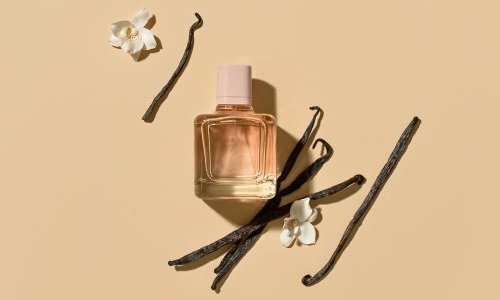 Les bouleversements écologiques pourraient fragiliser la filière parfum