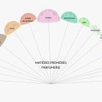 Classification of perfume ingredients: the Scentree website redesigned